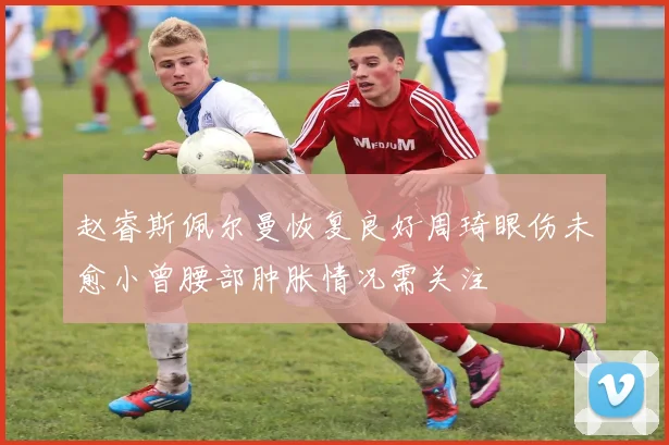 赵睿斯佩尔曼恢复良好周琦眼伤未愈小曾腰部肿胀情况需关注
